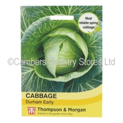 Thompson & Morgan Cabbage Durham Early